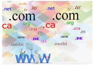 reliable web hosting provider